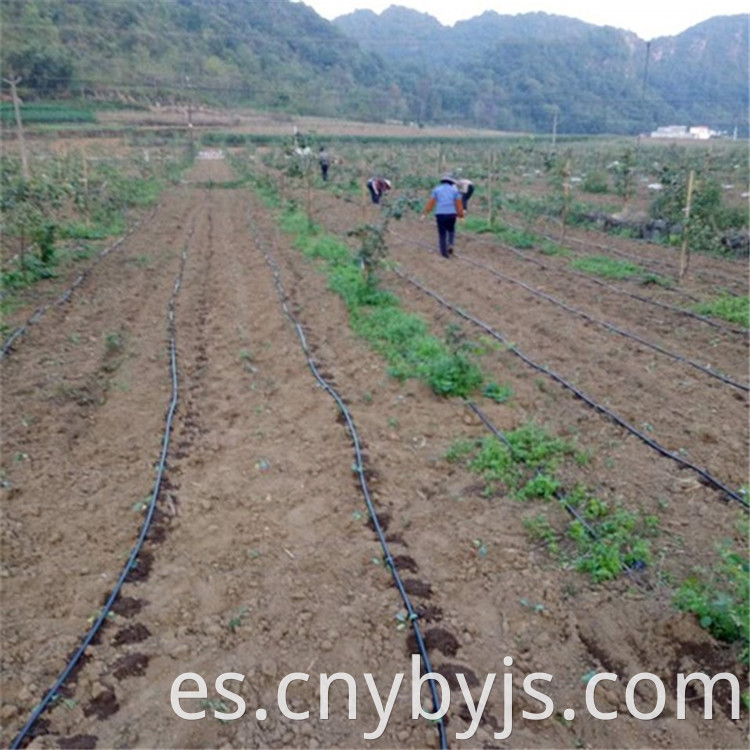 Drip Irrigation 90